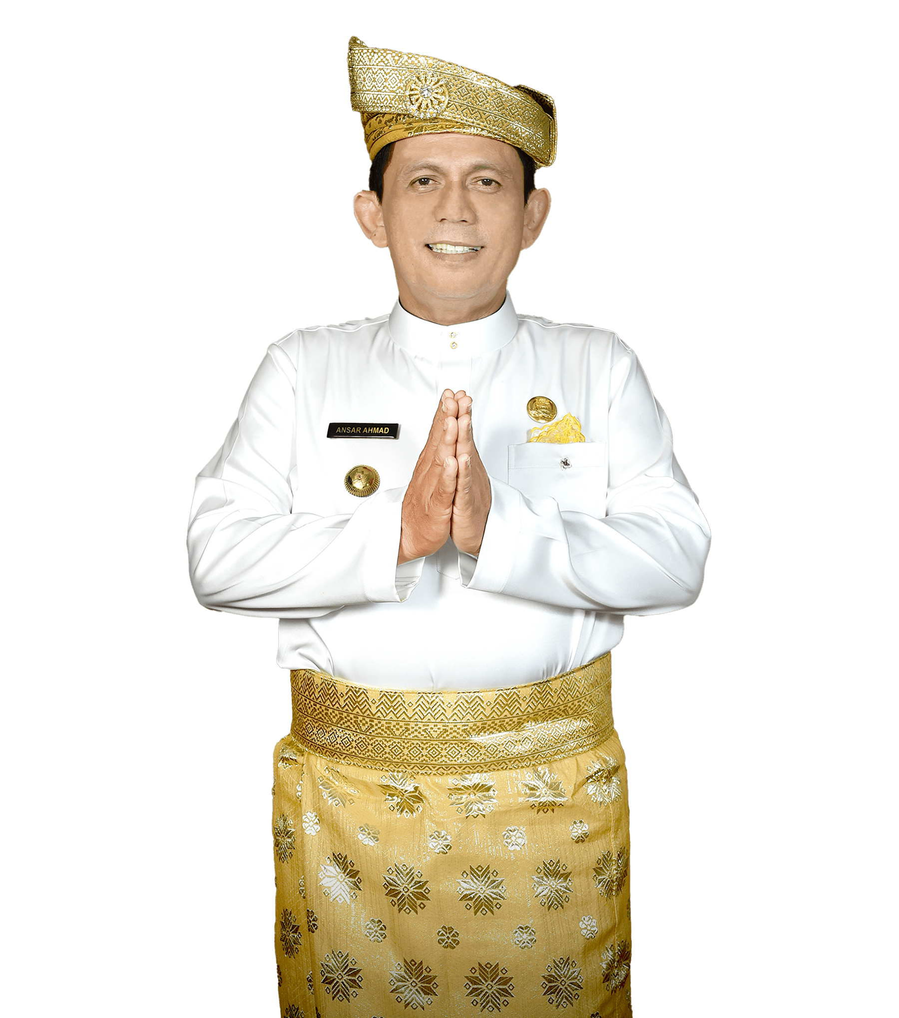 Ketua Dewan Kawasan