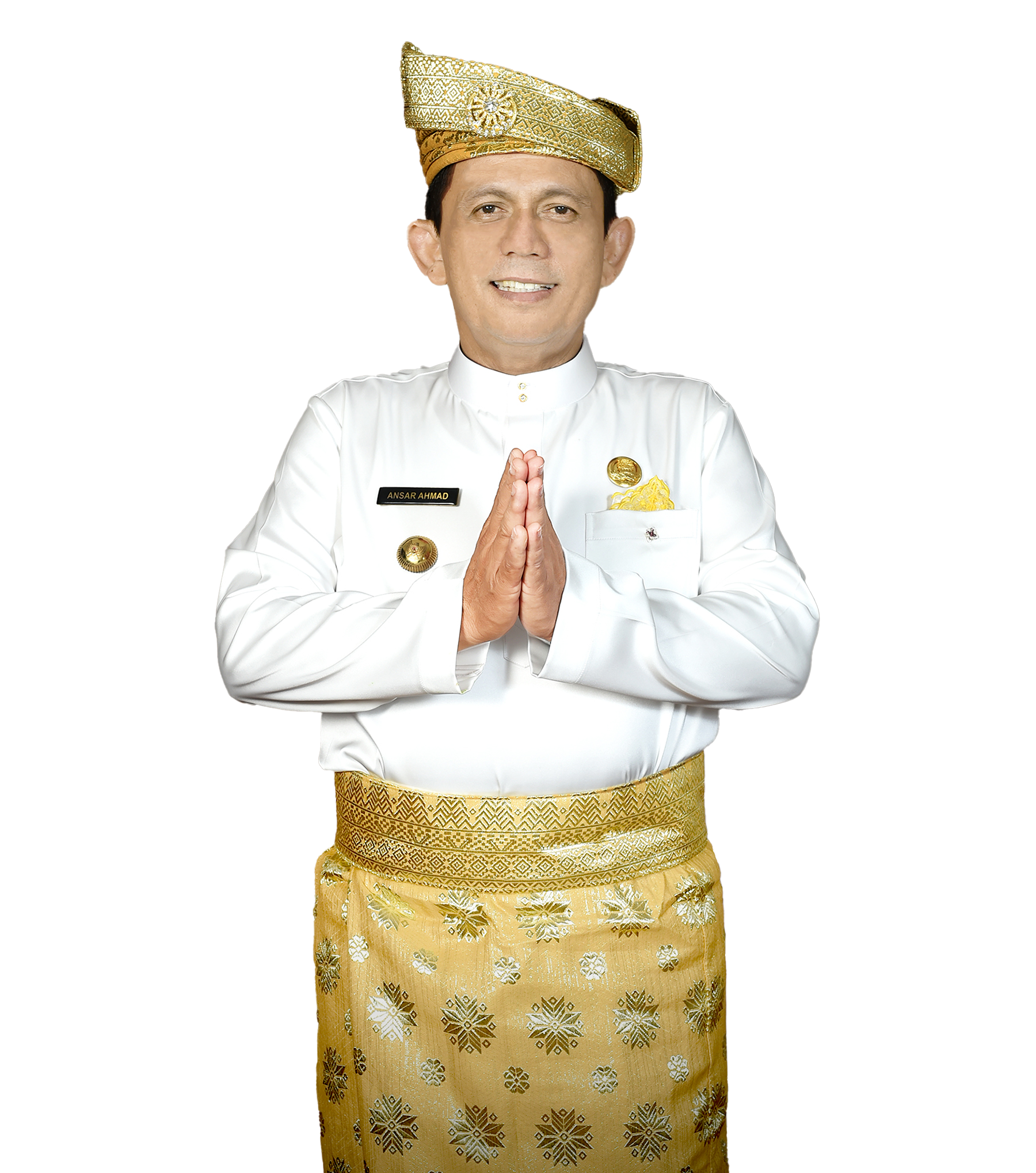 Ketua Dewan Kawasan