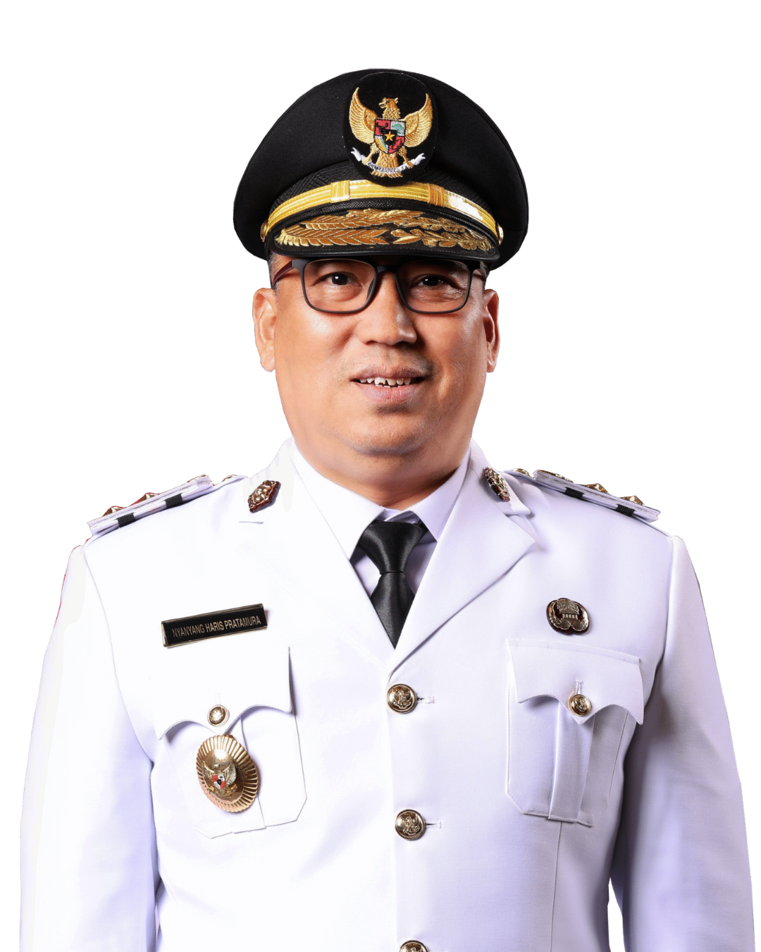 Nyanyang Haris Pratamura, S.E., M.Si. — Wakil Gubernur Kepulauan Riau